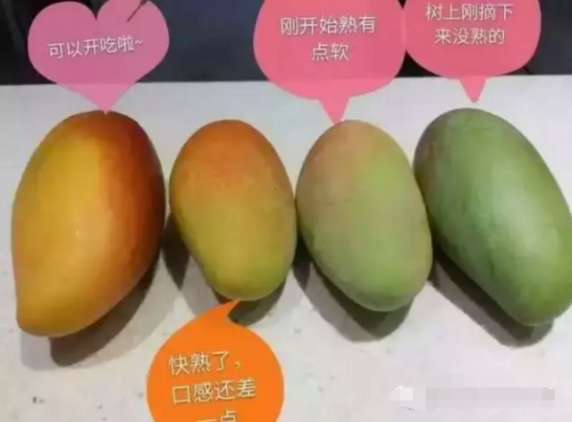 这是芒果从生到熟的颜色变化过程