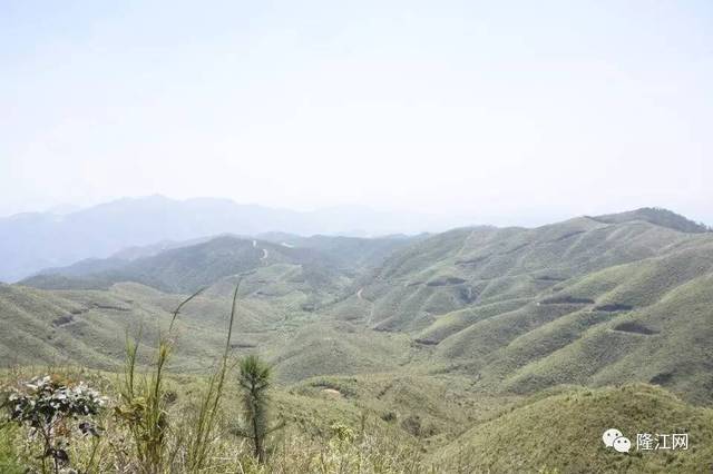 惠来第二高山峰:犁头山