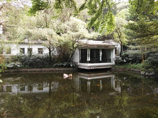 游白云山 | 发现山庄旅舍禾雀花之美