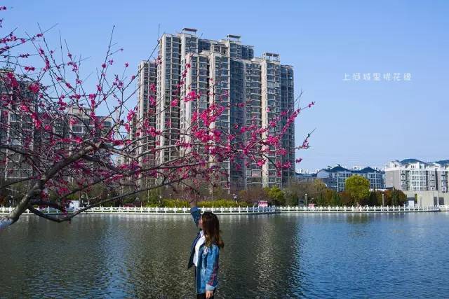 永城上河城出现大量的"艳照"?