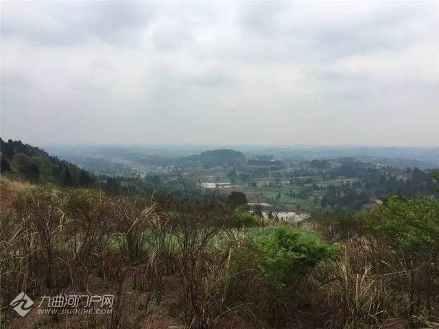 登顶雁江区最高点丹山镇巍峰山,山门竟刻有西游记等故事人物形象!