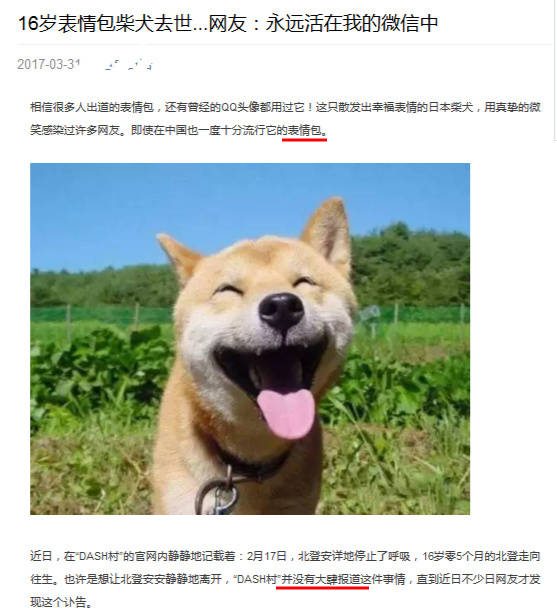 而且事情到了后期,文章的发展方向完全演变为悼念"柴犬表情包"的去世