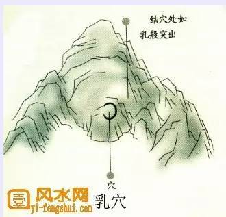 禽星;钳穴;突穴; 乳穴; 窝穴指什么?