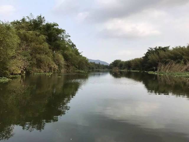 紫溪半岛竹筏船,淡水河水鸟天堂之旅,周末行.