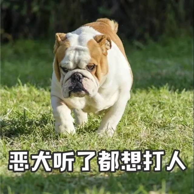 恶犬变成表情包!搞事情!