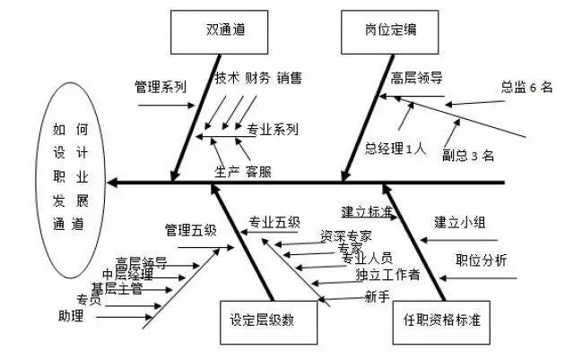 对策型鱼骨图