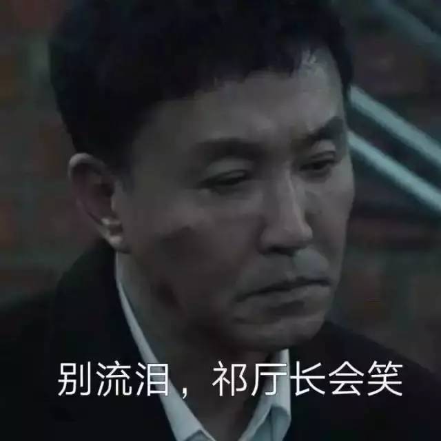 想看祁厅长哭坟视频?达康书记今天说要这么办