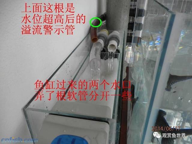 [水族diy] 一缸配 7 桶(沉淀桶-->滤盒-->