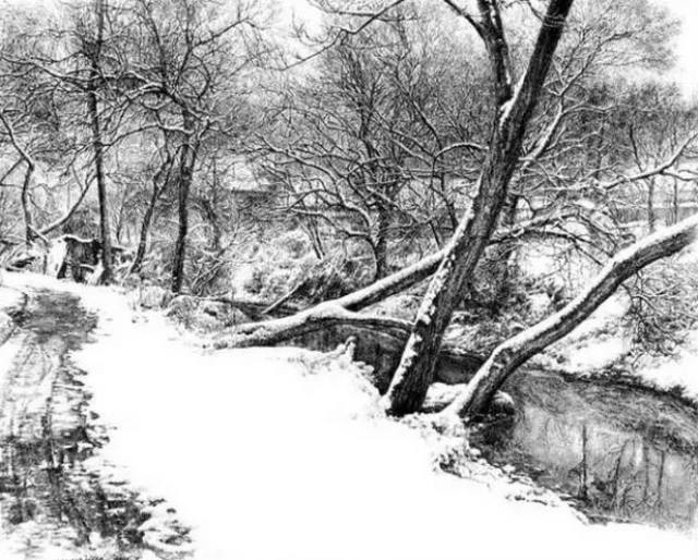 茫茫大雪,让我们在雪地中不断的欢乐和寻找.