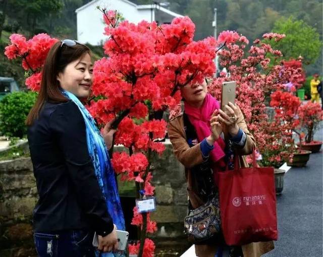 姚村乡首届映山红赏花节掠影