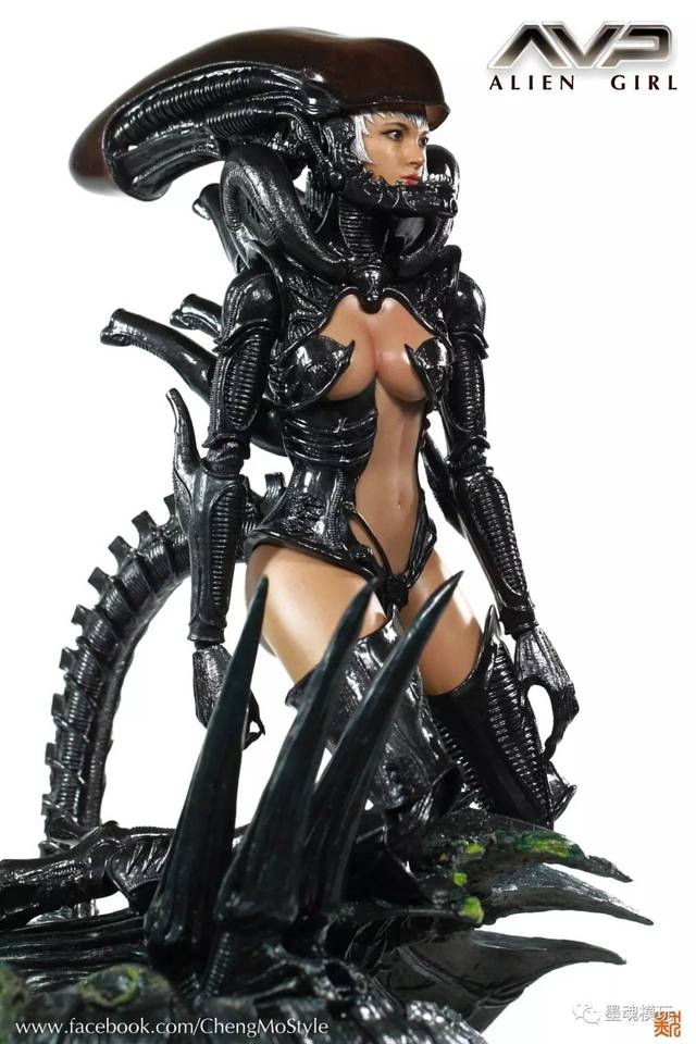 [评测] 多人开箱: hottoys 1/6 avp异形大战铁血战士-异形女/alien