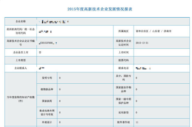 高新技术企业年报填写大全