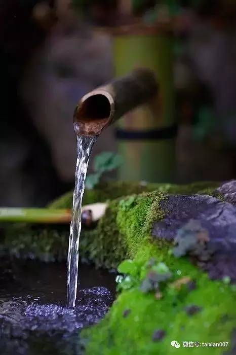 庭院中的禅意水景