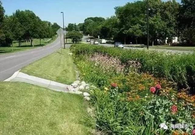 海绵城市工程案例详解系列—城市道路的海绵化改造