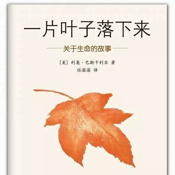 5. 《一片叶子落下来》         