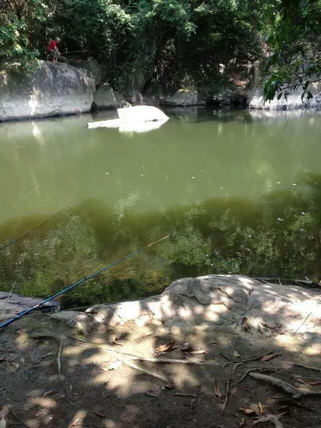 这个地方位于深圳龙岗区沙鱼涌口.感兴趣的可以来玩一下!