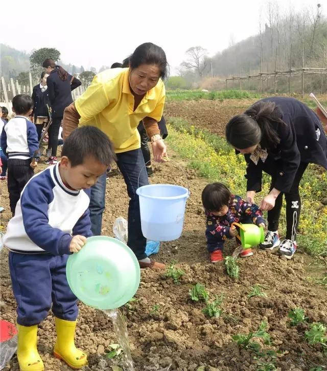 信阳安徒生国际幼儿园农场课程--种植篇