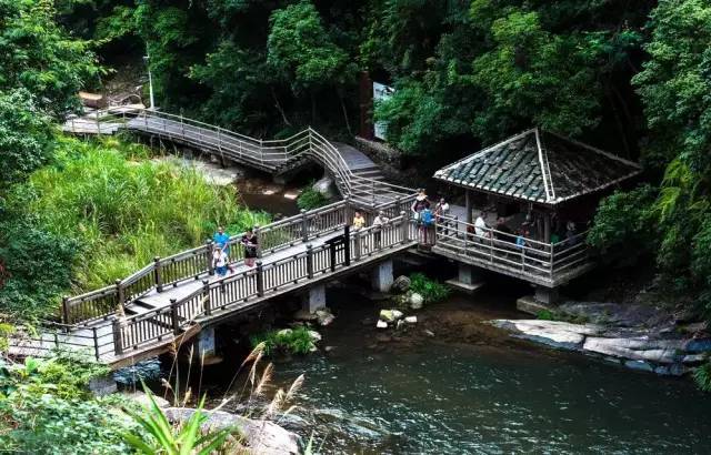 武平县委书记陈厦生在福建日报刊文谈全域旅游!