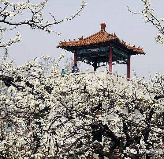 滕州十大最佳乡村休闲旅游景点,值得转一转