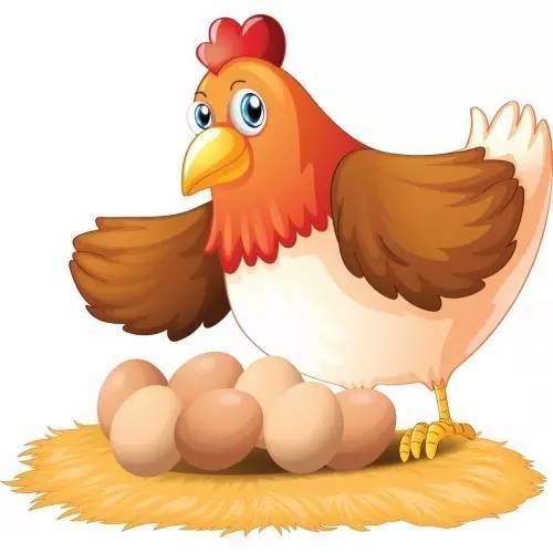 一只母鸡一堆鸡蛋猜成语_母鸡卡通图片