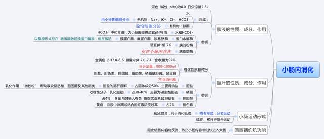 生理学思维导图完整版