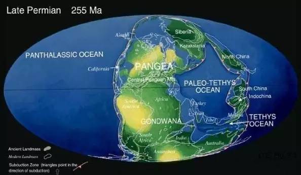 新西兰将开放五年多次往返签,快看看"第八大陆"的海陆空都是怎么玩的!