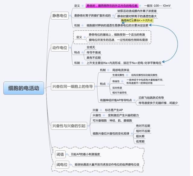 生理学思维导图完整版