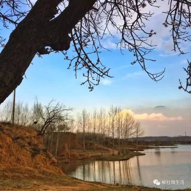 榆社云竹湖:桃花红杏花白 赏十里花开 定三生三世!