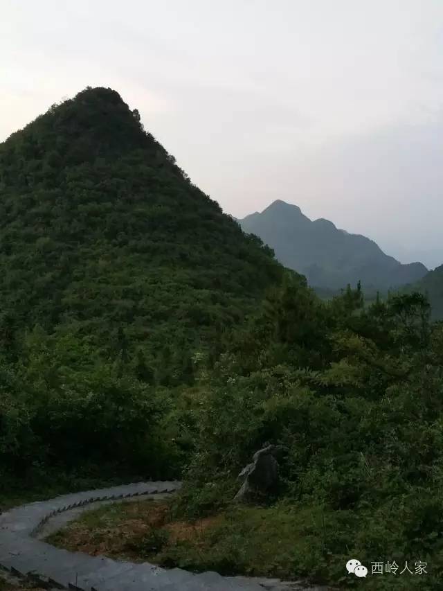 阳山的这个地方,虽村落古朴,但却风景迷人!