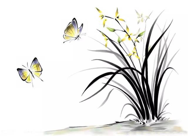 一朵花一只蝴蝶是什么成语_蝴蝶比是什么样子图片(3)