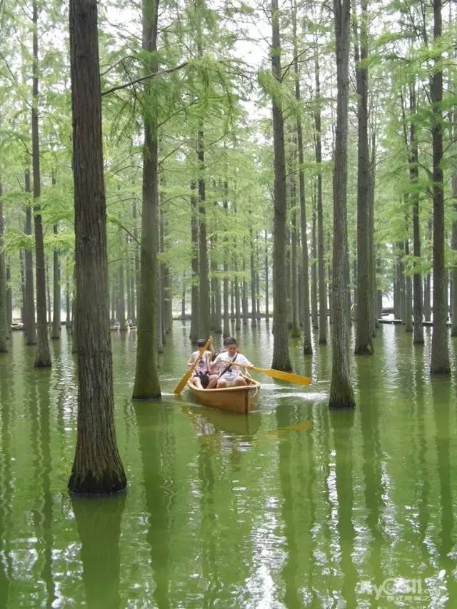 来扬州,看美丽绿洋湖