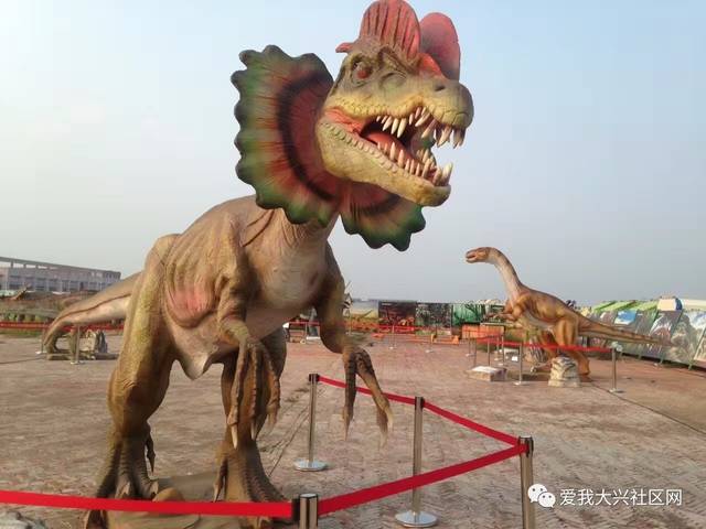 爱情海玫瑰园从4月22日-5月1日 举行大型仿真恐龙展游园活动 赶紧来吧