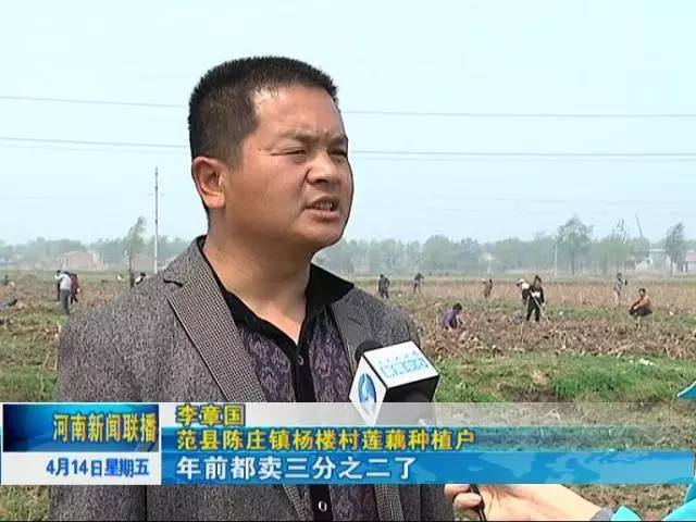 范县陈庄镇杨楼村莲藕种植户 李章国