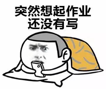 表情包丨周末还是开心地玩手机吧