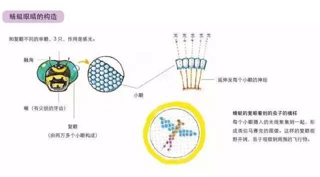 给你一把打开好奇心的钥匙