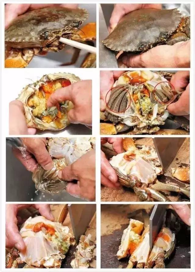 上图所示的位置就是牡蛎的内脏团 让螃蟹吐脏东西,最好的方法就是用