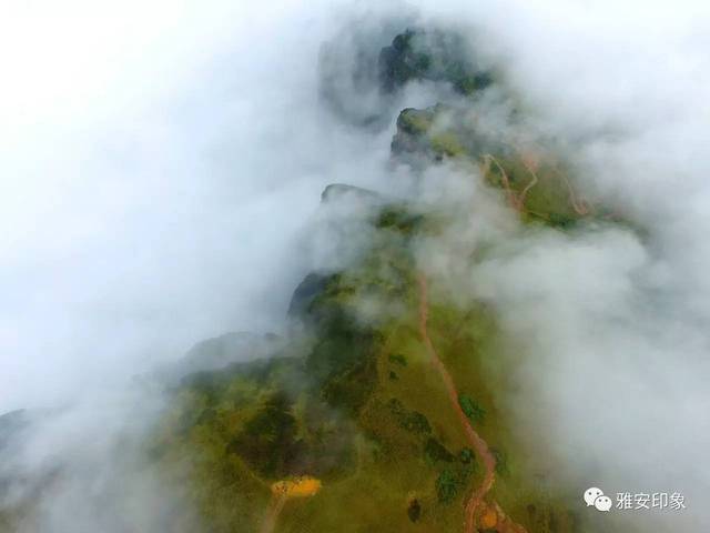 光头山位于天全县两路乡,属于国家级二郎山风景区区域.