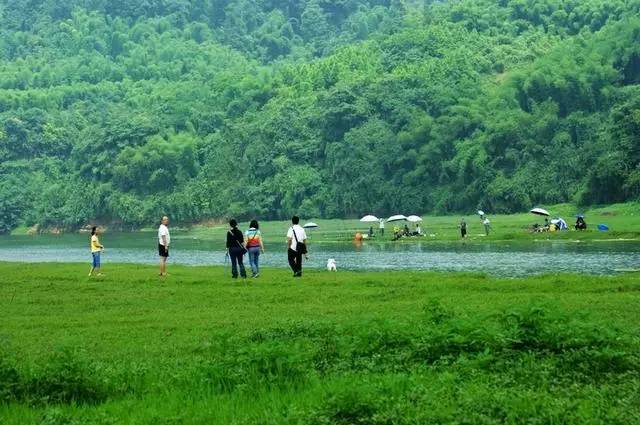 蒲江龙凤溪湿地