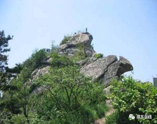 4月22日邵东斫曹首届"芍药花节"盛大开幕! 宁可为家乡