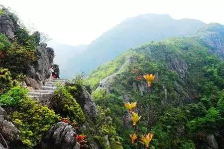 金子山原生态休闲度假旅游景区