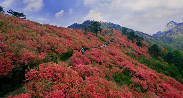 你知道广德长寿村在那里吗?