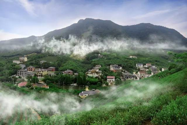 莫干山|西坡 地址:湖州市德清县莫干山镇劳岭村岭坑里 价格区间$