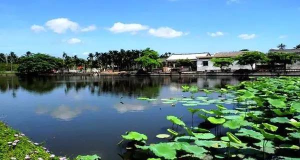 增城区 莲塘村