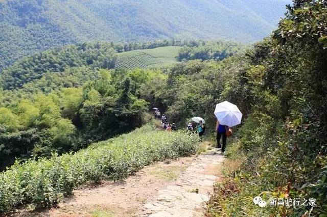 推荐路线:宁波市慈溪市龙山镇方家河头村口(兰屿生态公园)-桃花岭