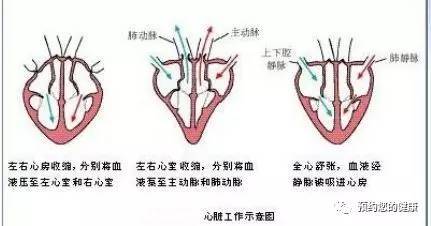 【养生之道】心脏声音养生·上