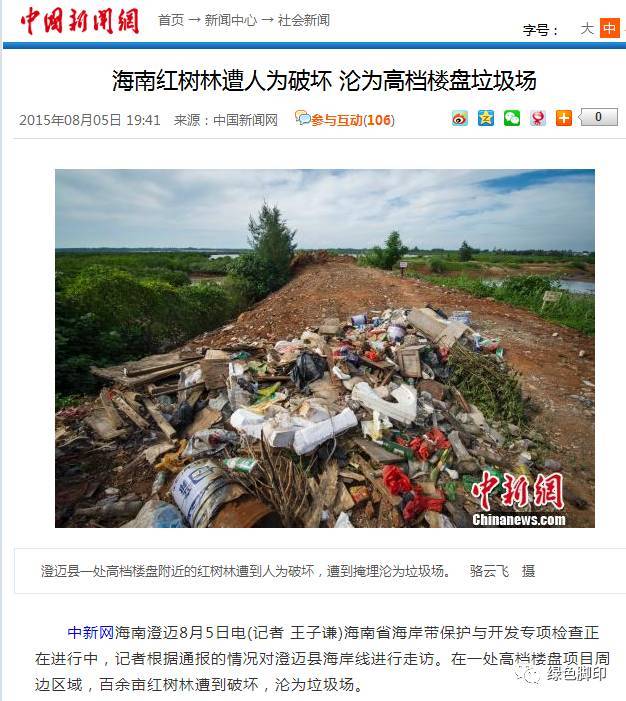 2015年8月4日海南澄迈县百亩红树林遭到破坏,沦为垃圾场.