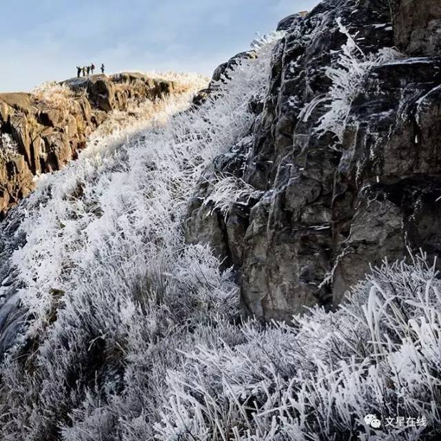 柘荣东狮山雪景你见过吗?