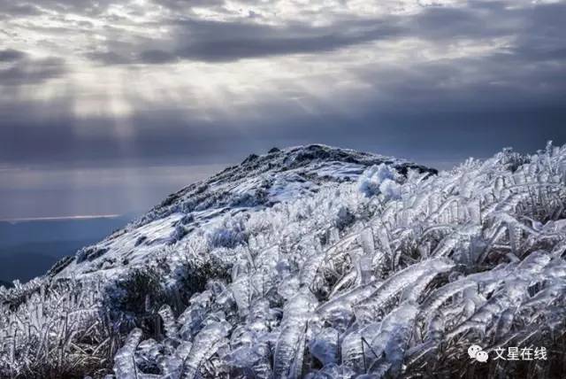 柘荣东狮山雪景你见过吗?