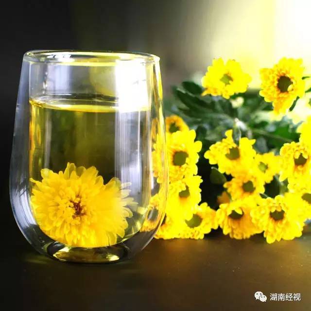 菊花泡水