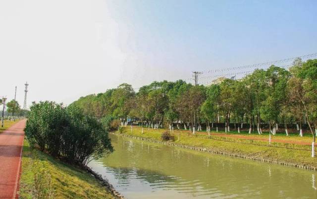 【罗泾有景】生态旅游小镇罗泾打造上海绿意北大门
